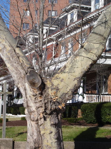 Library - 10283 Library - 10283