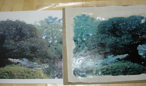 4ad2a-6a00d83451b50669e201157147efaa970b-500wi