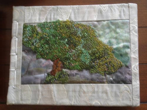 8ff13-6a00d83451b50669e20120a661a2f5970c-500wi