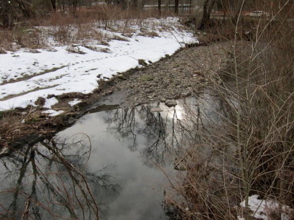 Nine mile run, January thaw