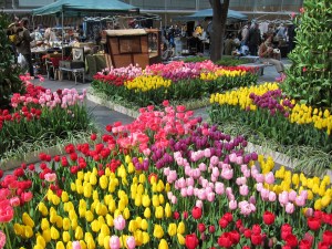 International Forum antique show