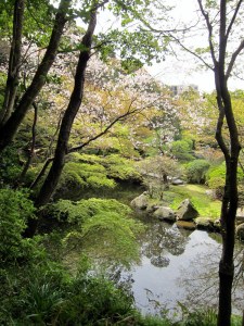 I walked around for half an hour before I finally took this picture. Have to go back.