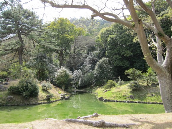 More borrowed scenery