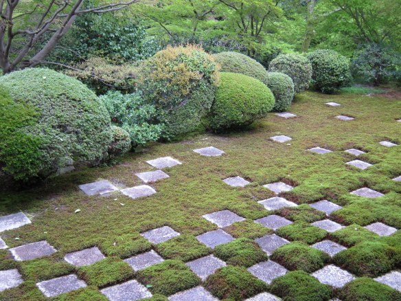 Tofukuji is famous for this lawn.