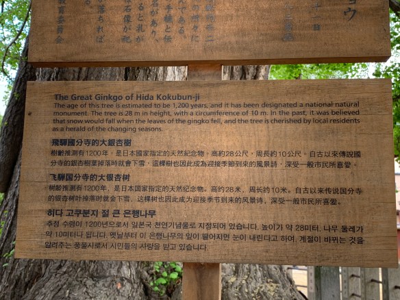 644ACFF4-0A3C-4BC1-BB3E-4E34857A886A