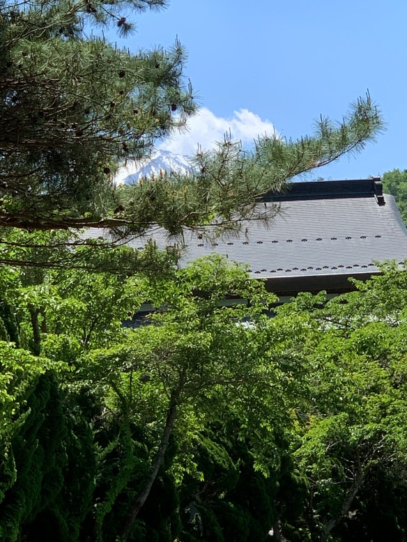 9451FF6E-5E64-43F7-8184-29BAED934084