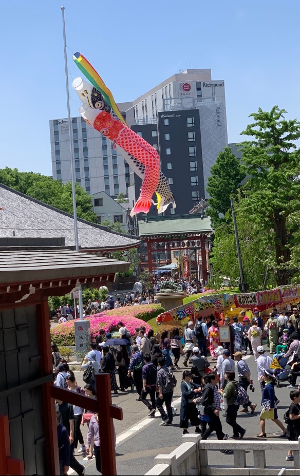 C55F3829-D719-42A9-AEB5-906811ED19FB