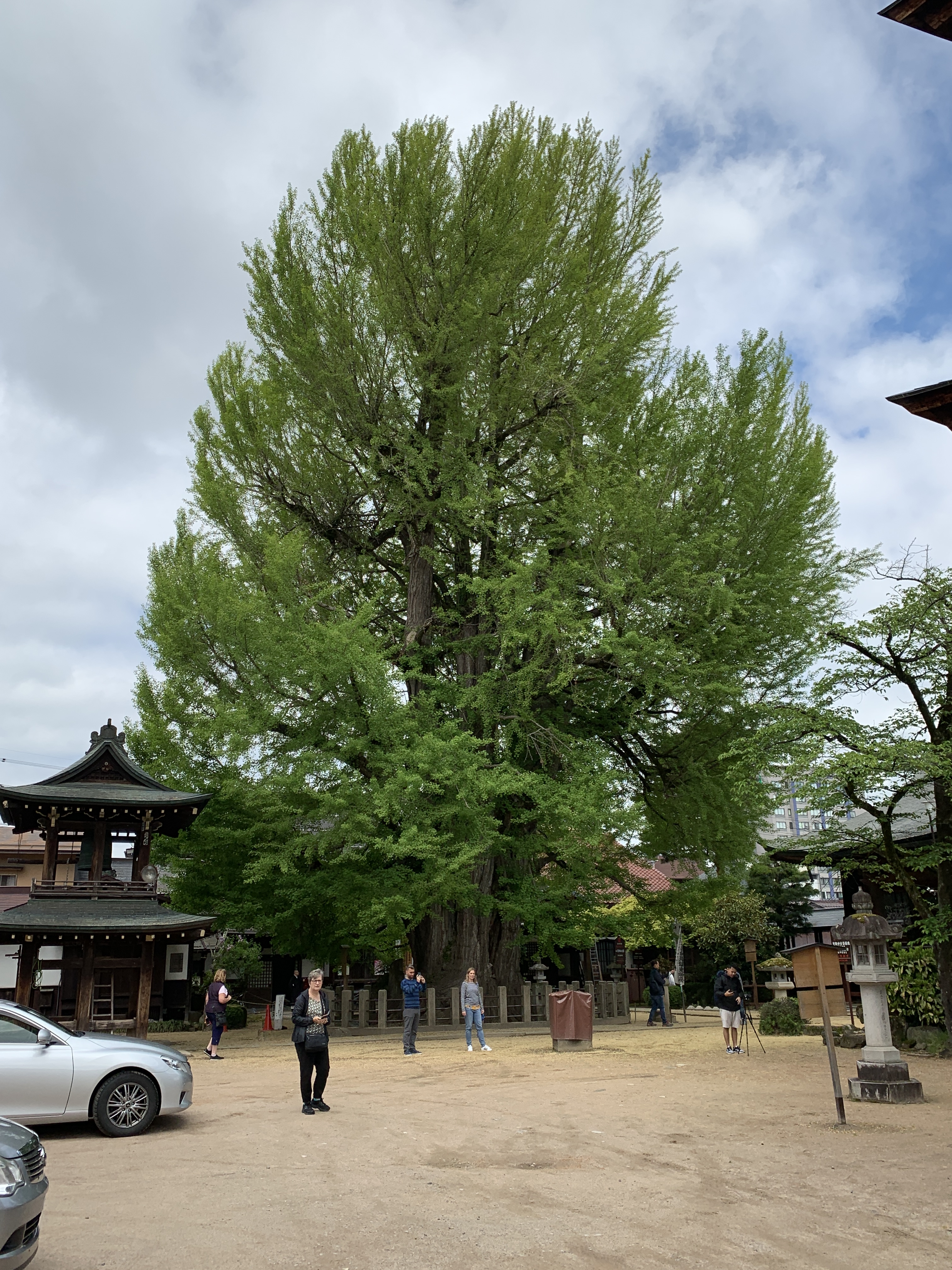 DF62457E-6E69-4F97-B507-C451D00CD51E