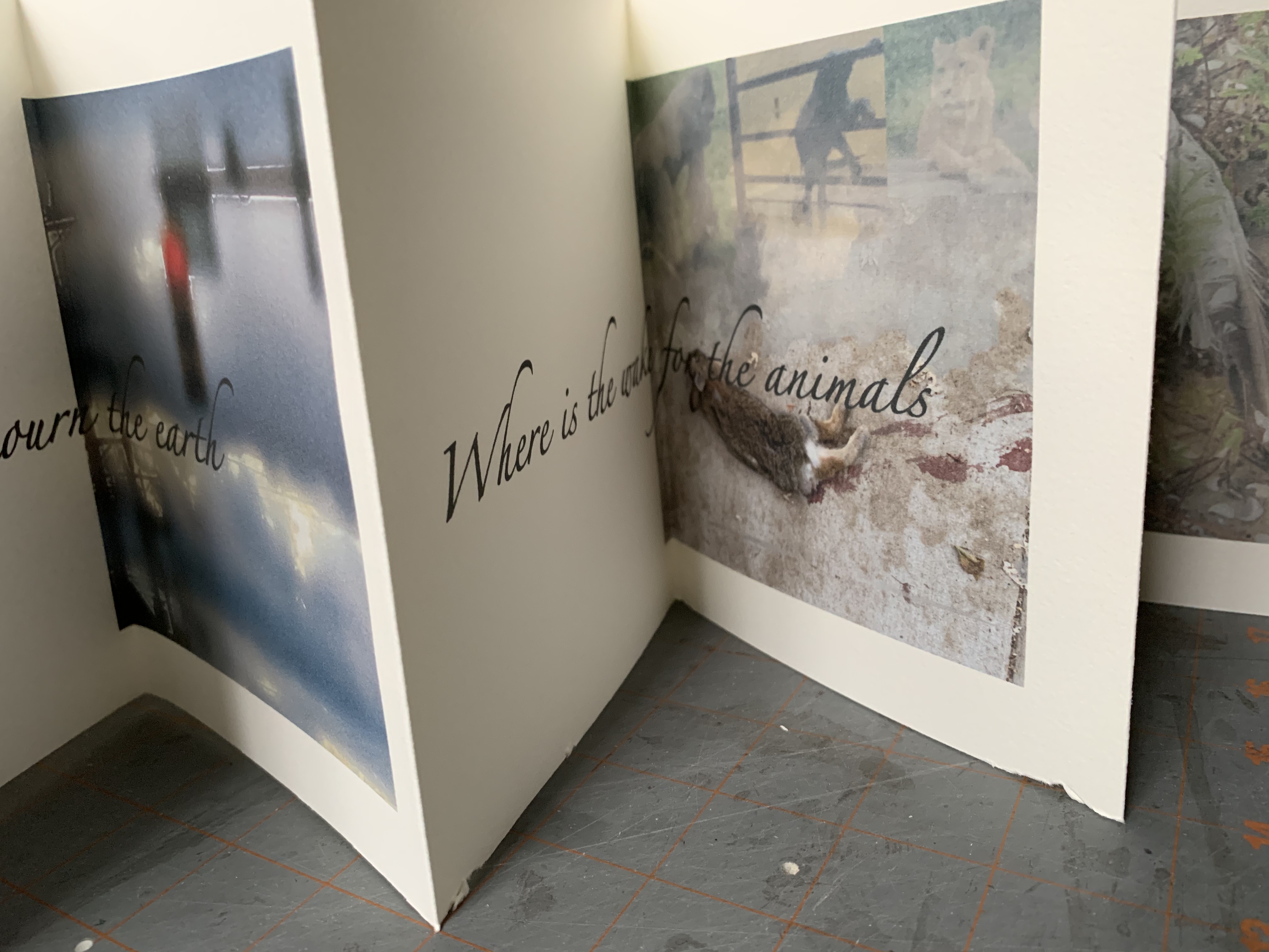 34E03635-410E-414A-BDC9-B76DA738A7EB